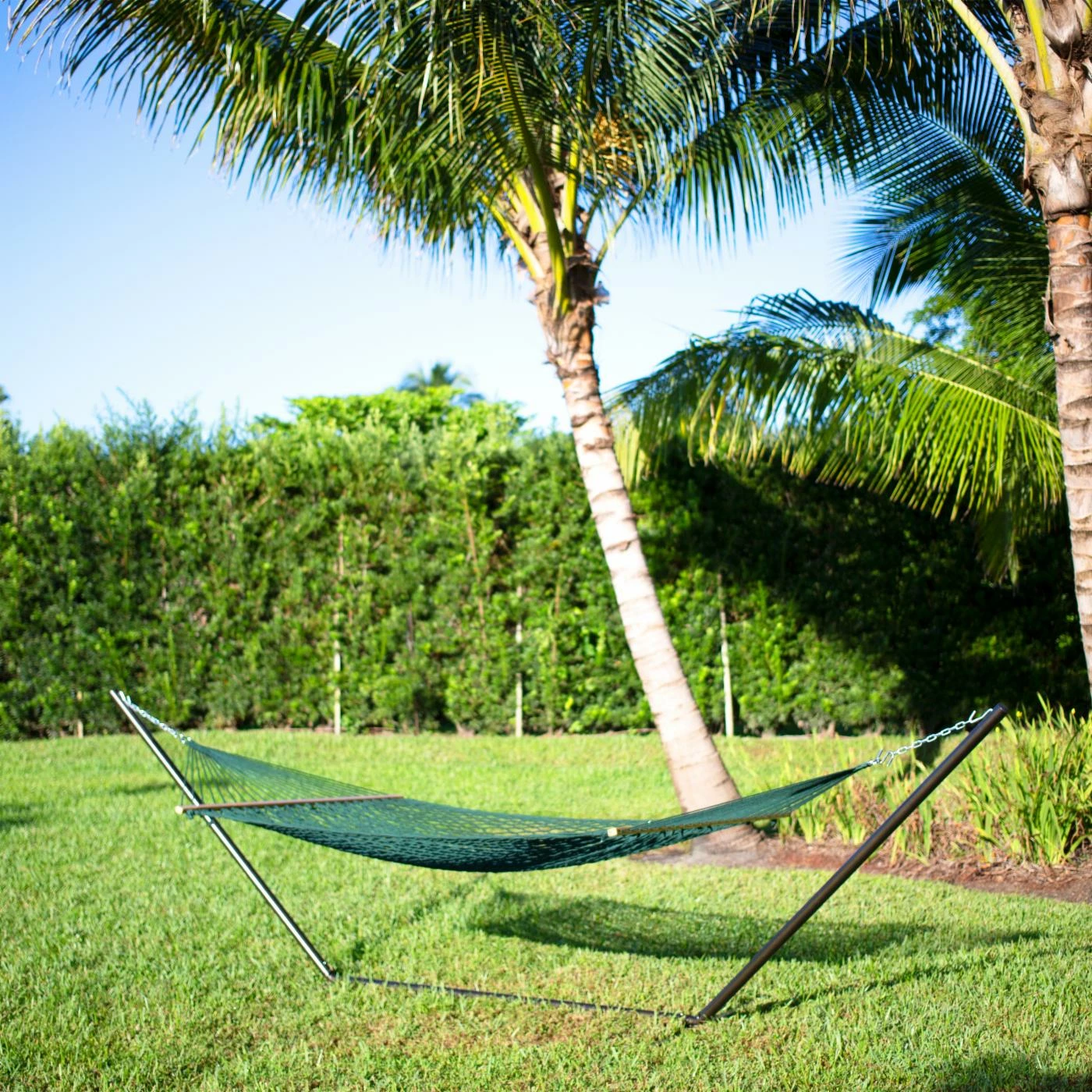 Best deal β¨ Fabric Bliss Hammocks 2 Person Classic Cotton Rope Hammock π 2 Best deal β¨ Fabric Bliss Hammocks 2 Person Classic Cotton Rope Hammock π - Image 2